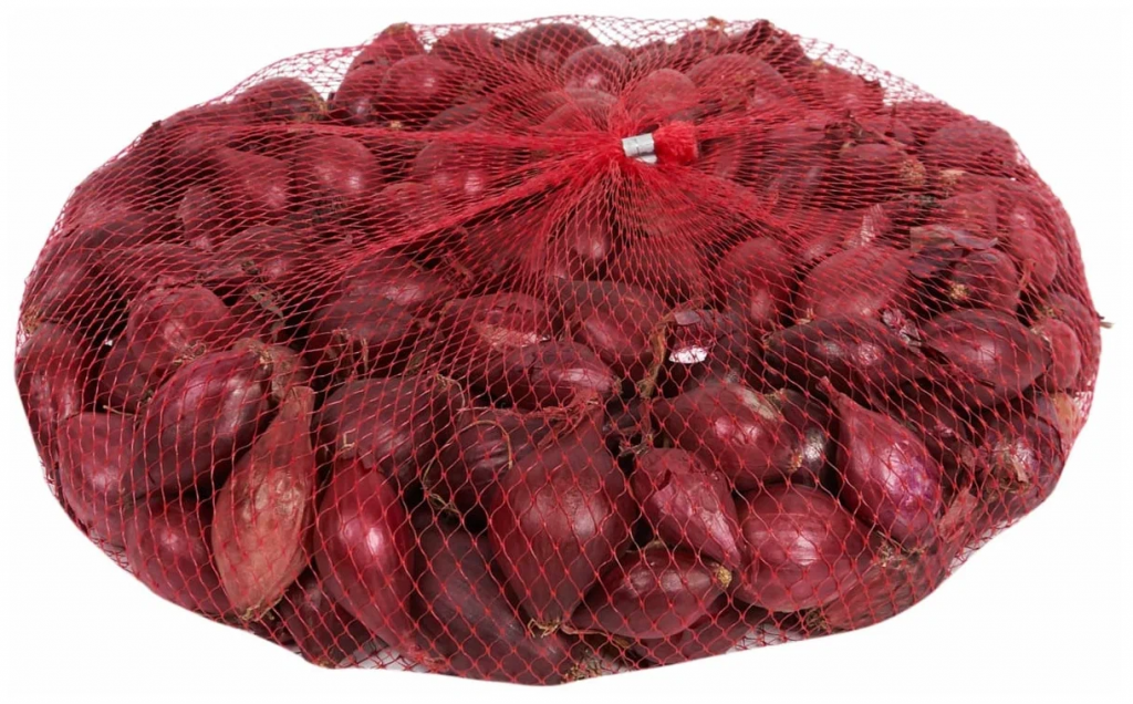 Лук-севок КАРМЕН крупный 25-30 мм, красный 500 гр